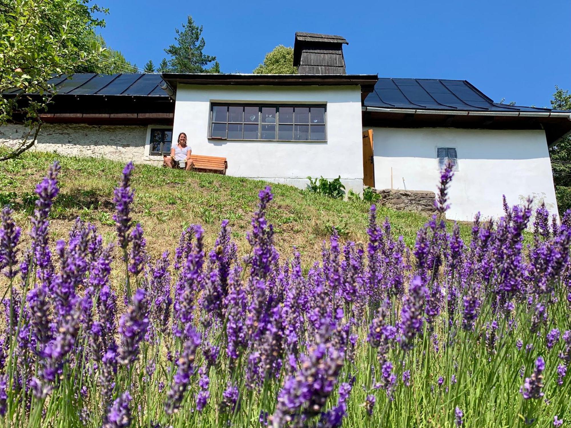 Alchymista Mining House Spania Dolina