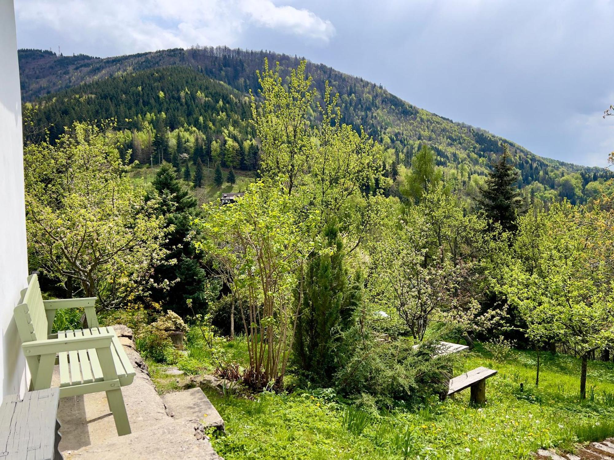 Holiday home Alchymista Mining House Spania Dolina