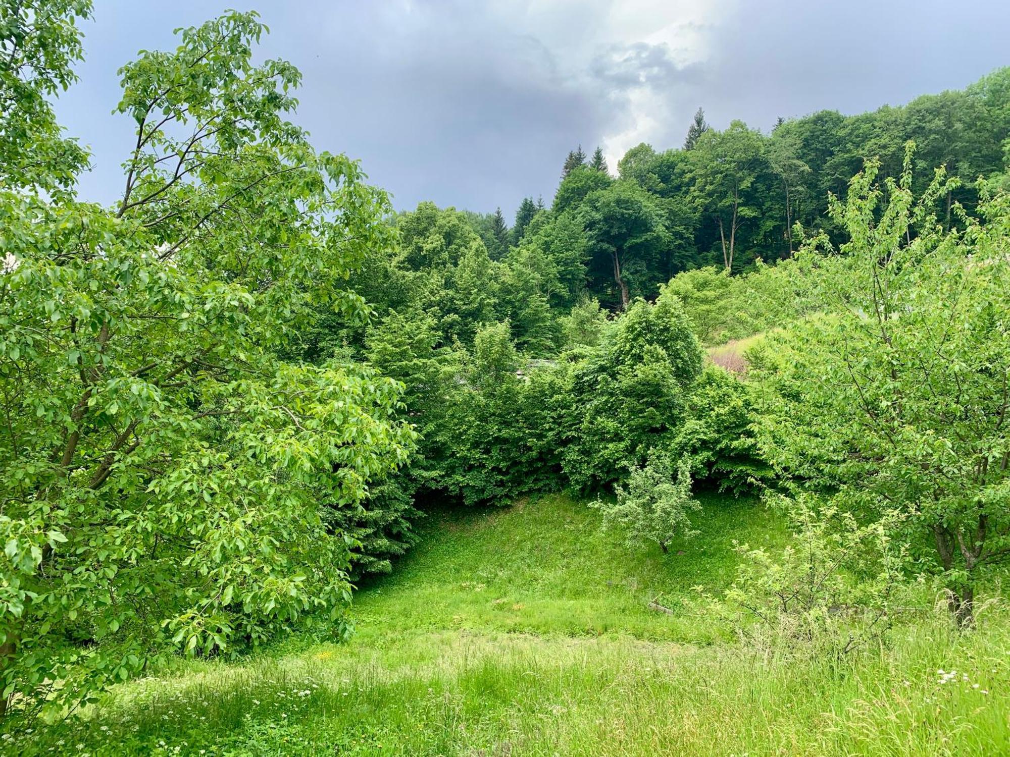 Holiday home Alchymista Mining House Spania Dolina