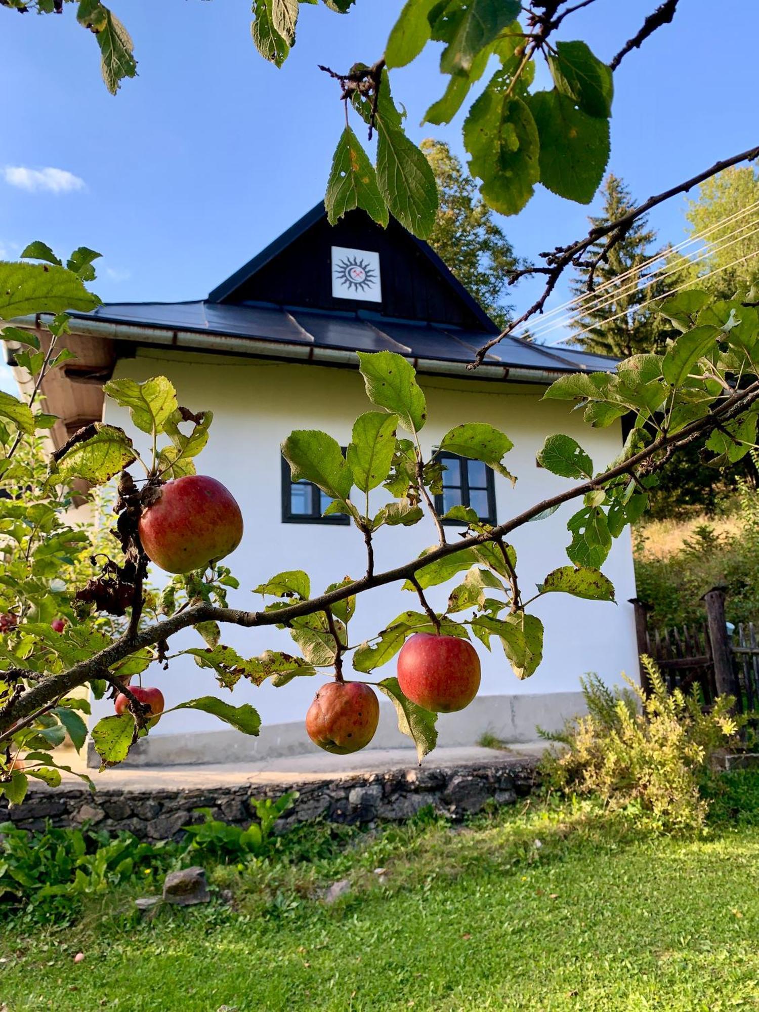 Holiday home Alchymista Mining House Spania Dolina