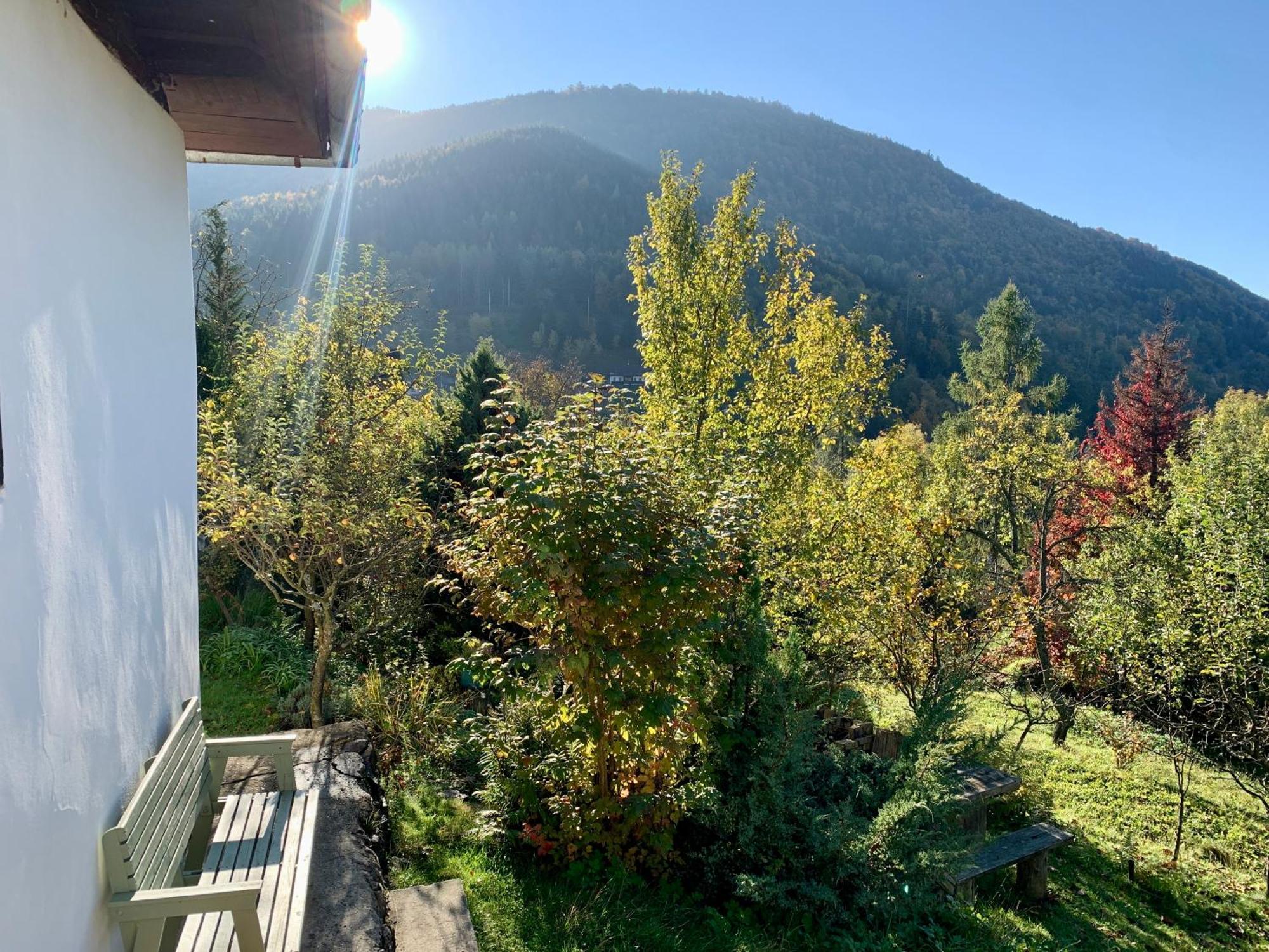 Holiday home Alchymista Mining House *