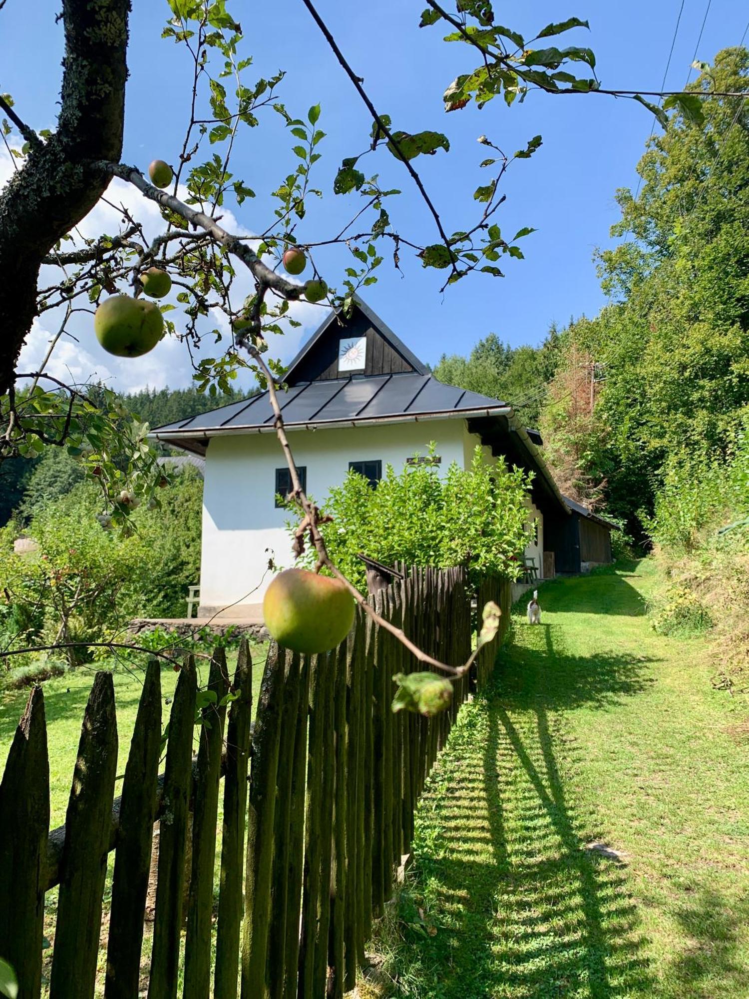 Alchymista Mining House Holiday home