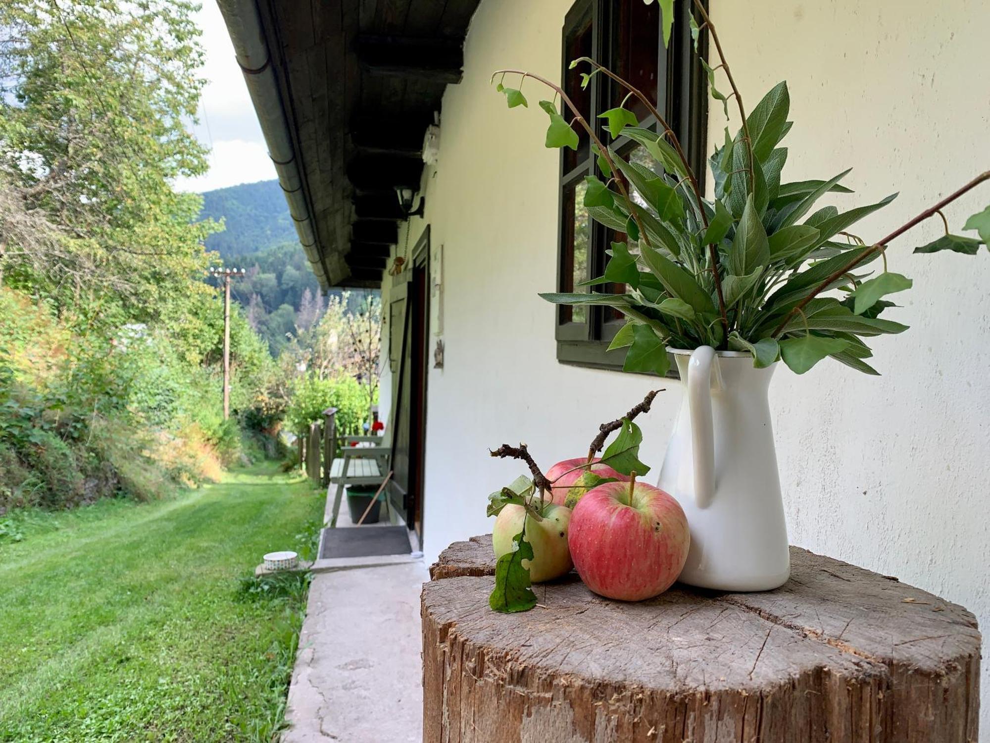 Holiday home Alchymista Mining House
